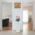 Apartman Bella Podgora (Split-Dalmatia)